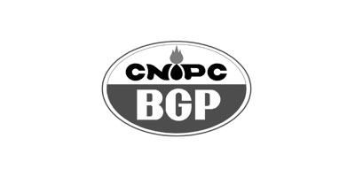 bgp logo